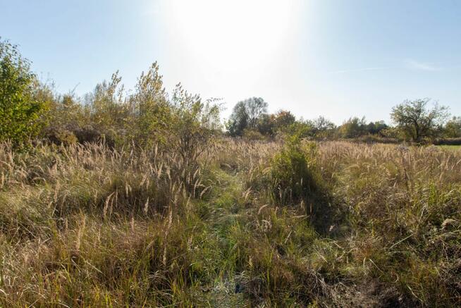 Działka przemysłowa Lisowice gm. Pawonków, Cegielniana