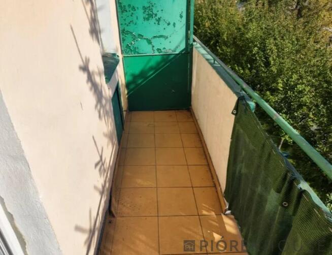 Kawalerka na Śródmieściu