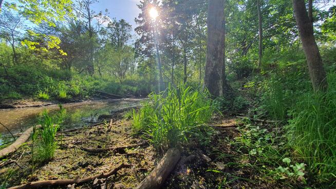 Działka budowlana Wiązowna