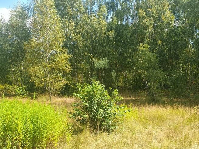 Działka budowlana Wiązowna