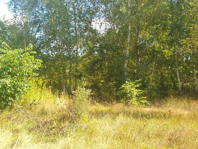 Działka budowlana Wiązowna