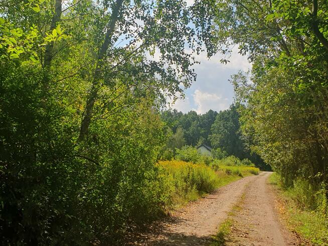 Działka budowlana Wiązowna