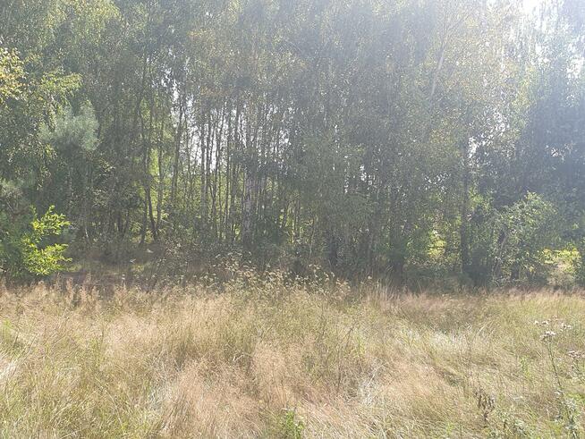 Działka budowlana Wiązowna