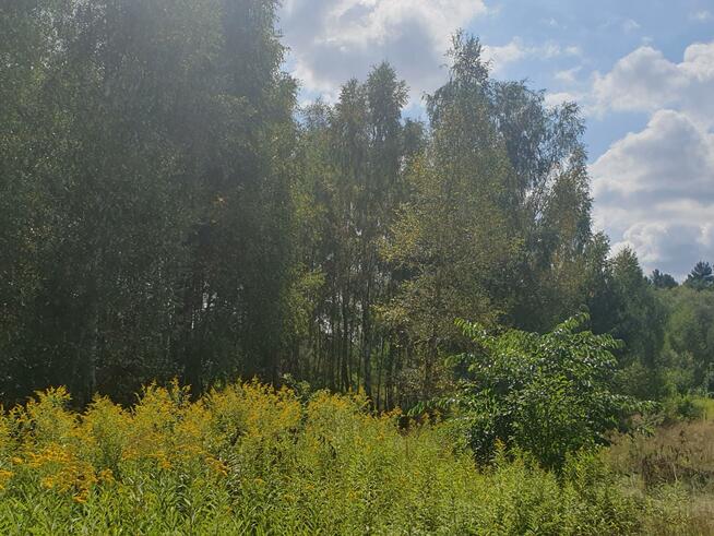 Działka budowlana Wiązowna