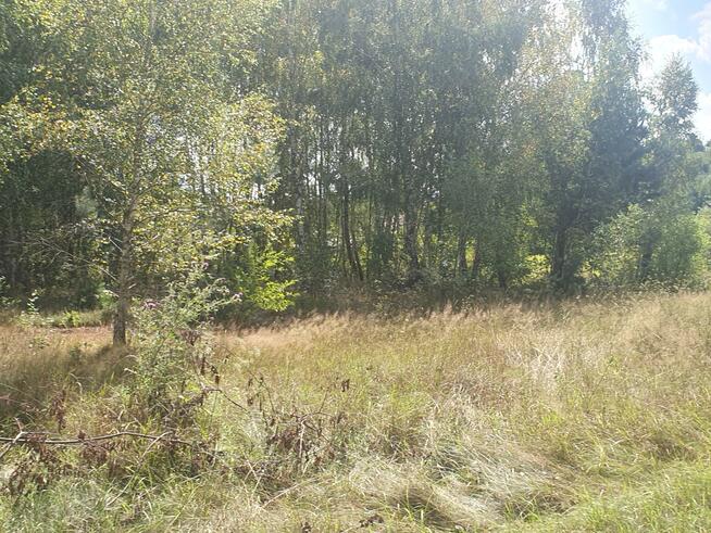 Działka budowlana Wiązowna