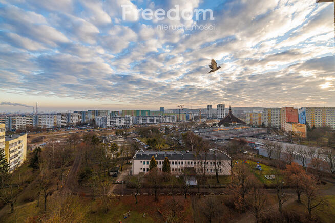 Dzień Otwarty - 12.01 - poniedziałek - Zapraszam