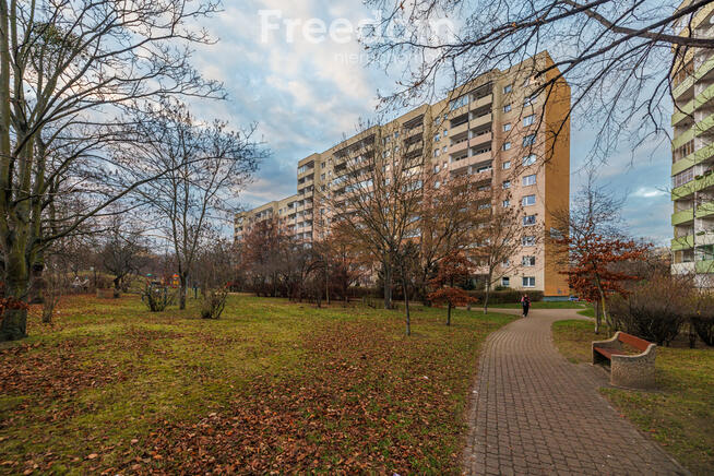 Dzień Otwarty - 12.01 - poniedziałek - Zapraszam