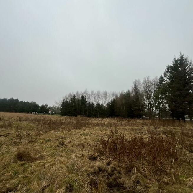 Działka budowlana 20 minut od Sky Bridge 721