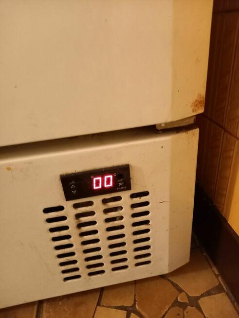 Szafa chłodnicza 320 L używana, sprawna.