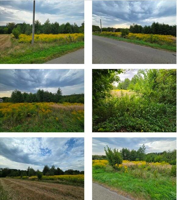 Nieruchomość niezabudowana - Kończyce Małe