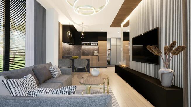 Projekty: ogrody/elewacje/wnętrza