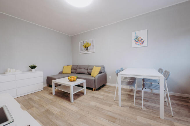 M-2 na Teofilowie, JUDYMA 9