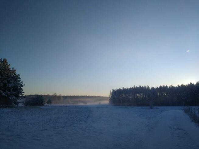 Działki budowlane, las, Mazury, Warunki Zabudowy|Dom do 120m