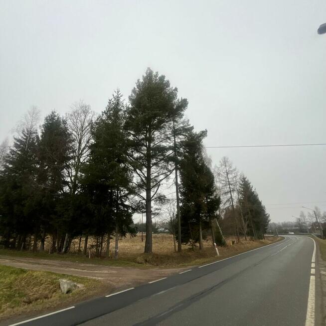 Działka budowlana 20 minut od Sky Bridge 721