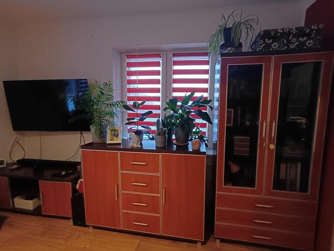 Siedlisko 1,78 ha w Witoszynie