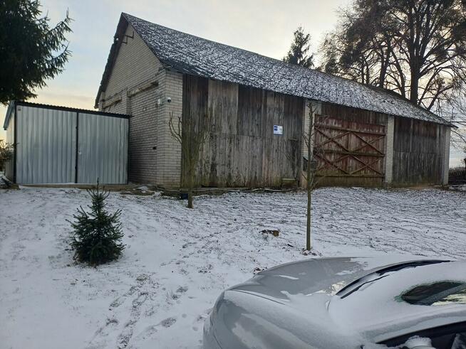 Siedlisko 1,78 ha w Witoszynie