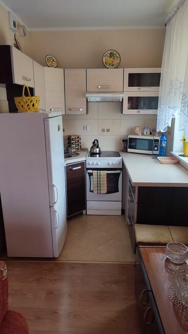 Mieszkanie do wynajęcia (wynajmę)