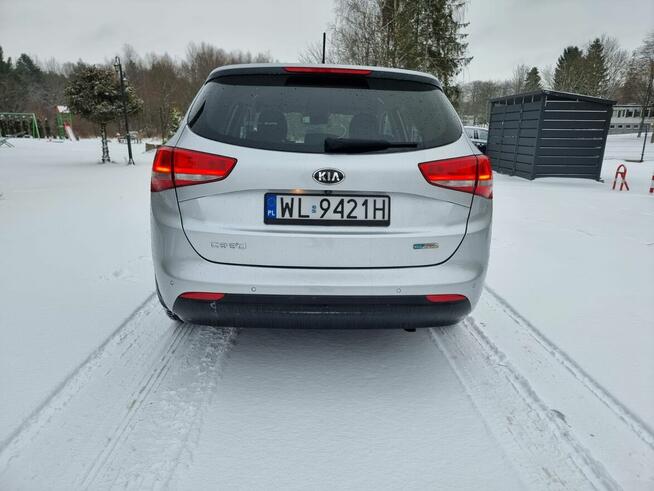 Kia Ceed 1.6 CRDi 136 KM Business Line Salon Polska