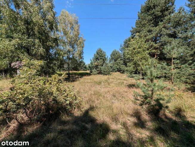 Działka zalesiona 8236m z mediami