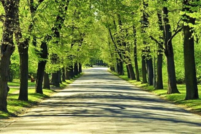 Nieaktualne, Nieaktualne