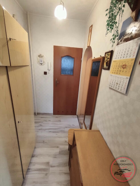 Przytulna kawalerka na wysokim parterze przy Solankach! + GARAŻ