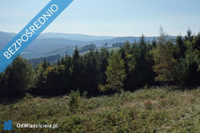 Brenna 2,53 ha działka inwestycyjna blisko wyciągu