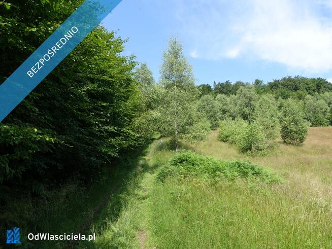 Brenna 2,53ha inwestycyjna pod pensjonaty domki letniskowe