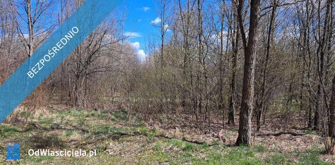 PROMOCJA! Dwie działki w cenie jednej! Słynny zalew SIELPIA! Cisza i spokój, dojazd z Warszawy