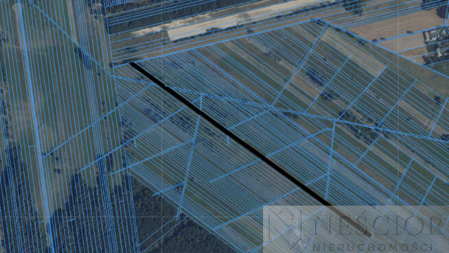 Działki Rolne Domanice 6zł/m2