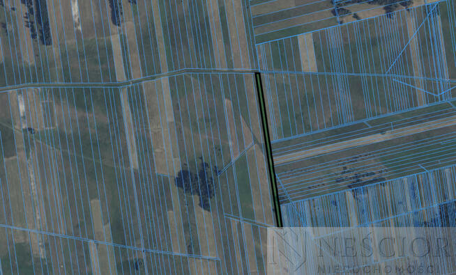 Działki Rolne Domanice 6zł/m2