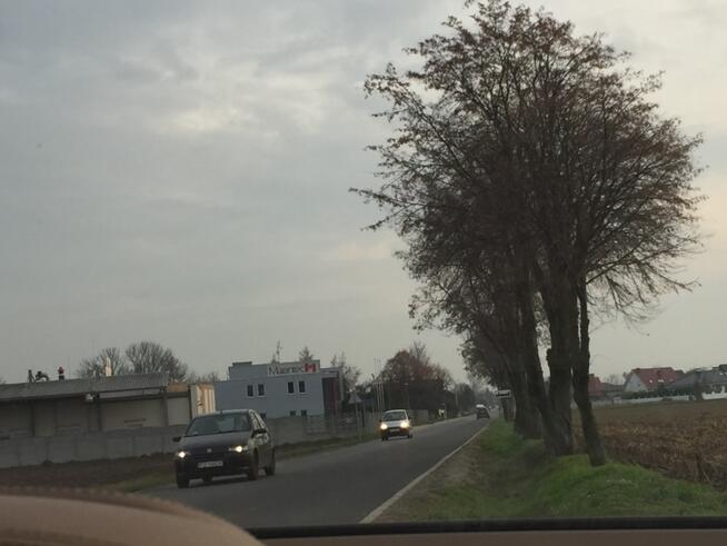 Grunt inwestycy Konarzewo 19498 m2 -bezpośrednio