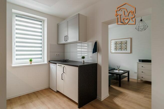 2 pokoje przyjazne zwierzętom, Cieszyńska 6