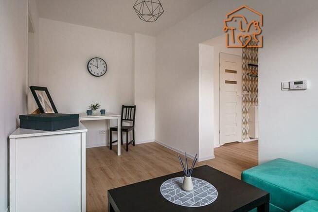 2 pokoje przyjazne zwierzętom, Cieszyńska 6