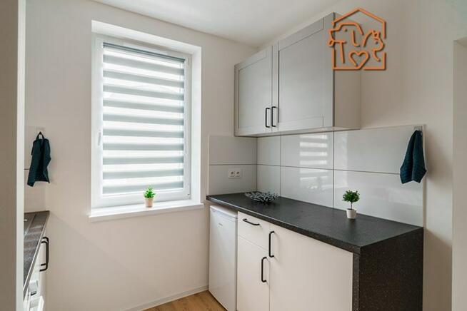 2 pokoje przyjazne zwierzętom, Cieszyńska 6