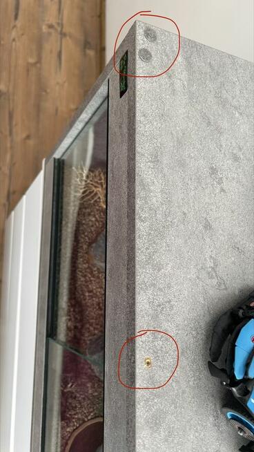 Gekony wraz z terrarium