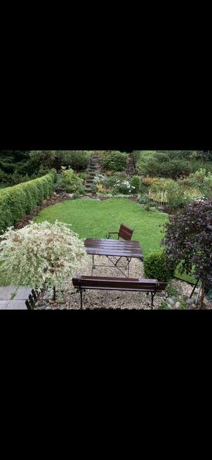 Mieszkanie do sprzedania