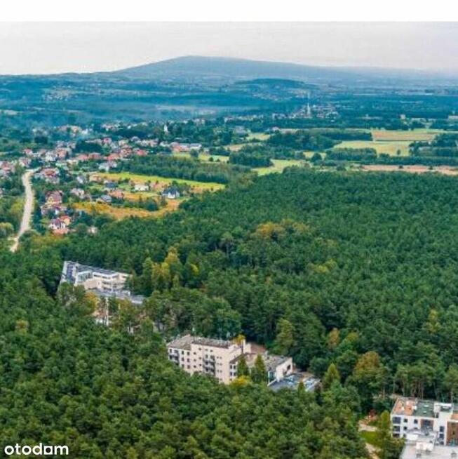 Sprzedam mieszkanie w Cedzynie z widokiem na las