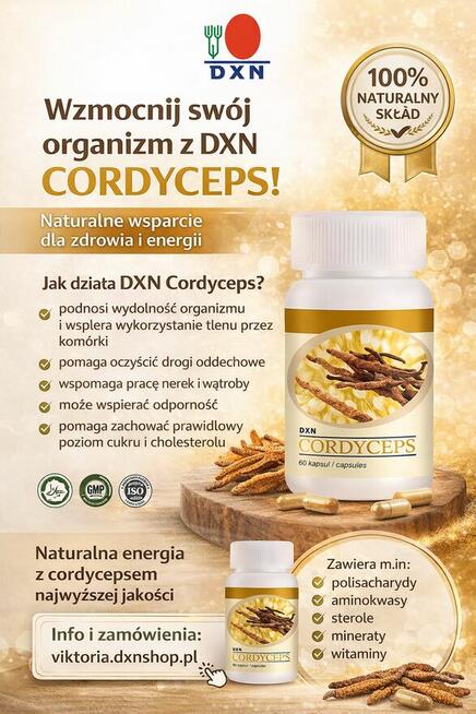 Moc, która pracuje w mięśniach!