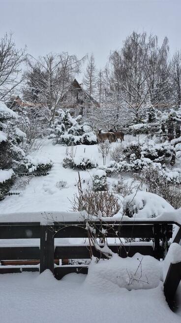 Mieszkanie do sprzedania