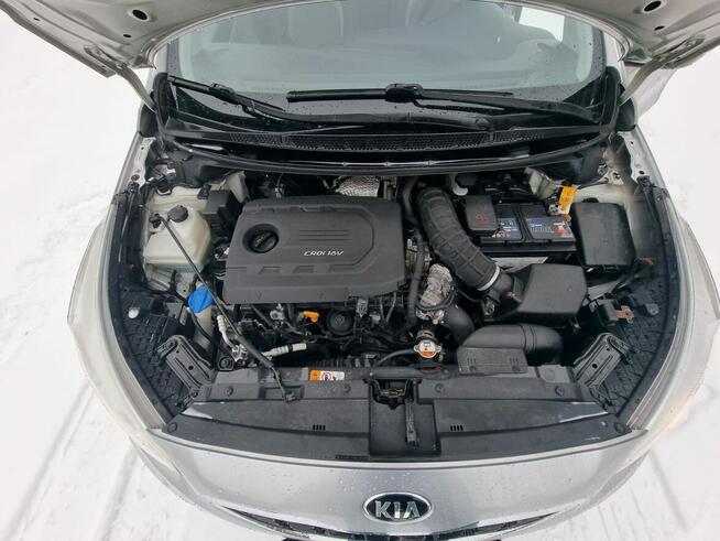 Kia Ceed 1.6 CRDi 136 KM Business Line Salon Polska