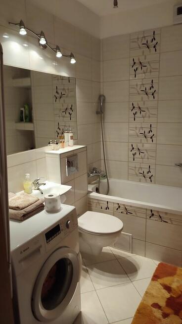 Mieszkanie do wynajęcia (wynajmę)