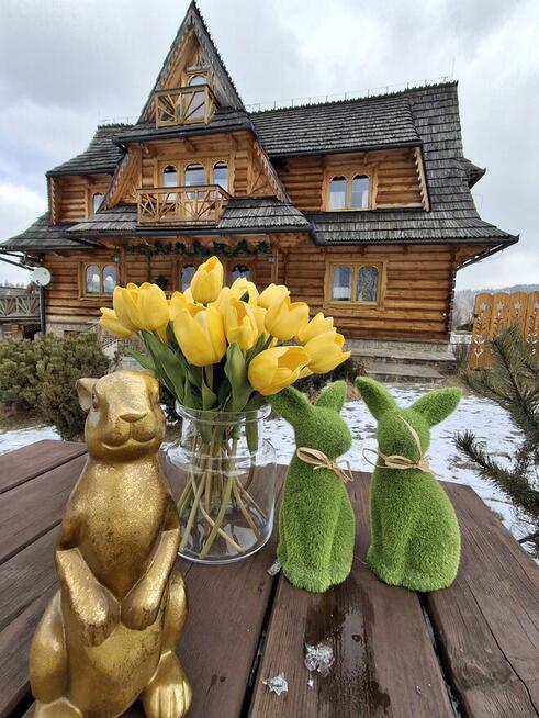 Osada ,, Na Brzyzku,, dom z sauną na max 20 osób