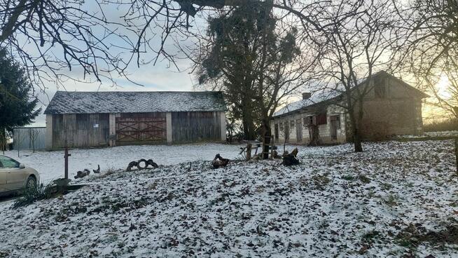 Siedlisko 1,78 ha w Witoszynie