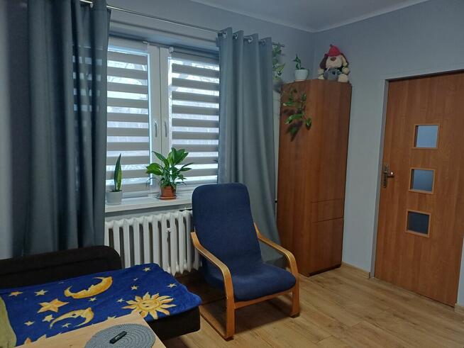 Siedlisko 1,78 ha w Witoszynie