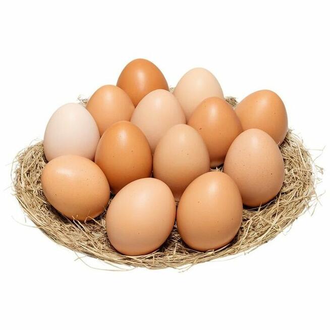 Jajka stołowe brązowe i białe z fermy na sprzedaż.