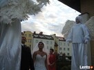 Anioły na szczudłach na ślub i wesele - 4