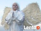Anioły na szczudłach na ślub i wesele - 5