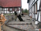 ogrodzenie z kamienia kamień łupany łupek łamany grill - 5