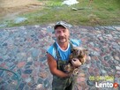 ogrodzenie z kamienia kamień łupany łupek łamany grill - 3
