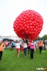 NAPELNIANIE BALONOW HELEM I POWIETRZEM SPRZEDAZ Balon WESELE - 2